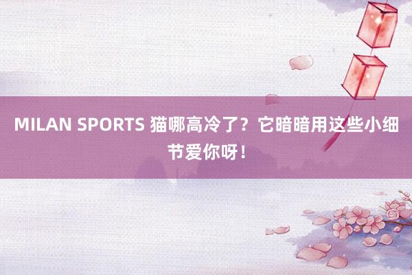 MILAN SPORTS 猫哪高冷了？它暗暗用这些小细节爱你呀！