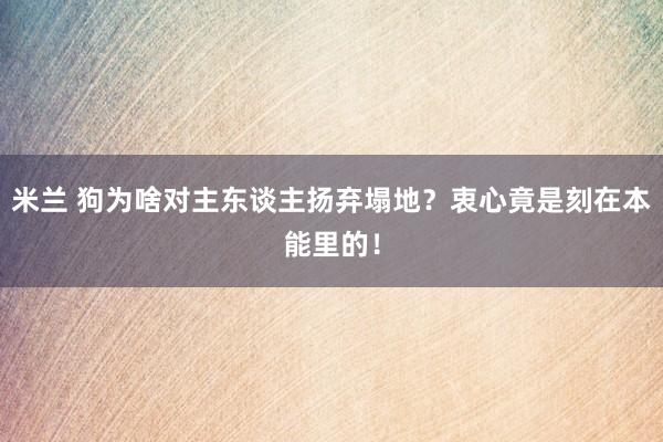 米兰 狗为啥对主东谈主扬弃塌地？衷心竟是刻在本能里的！