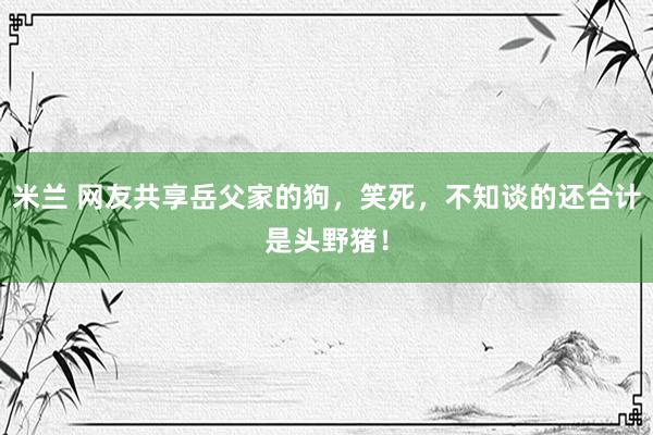 米兰 网友共享岳父家的狗，笑死，不知谈的还合计是头野猪！