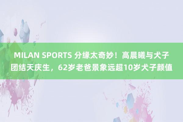 MILAN SPORTS 分缘太奇妙！高晨曦与犬子团结天庆生，62岁老爸景象远超10岁犬子颜值
