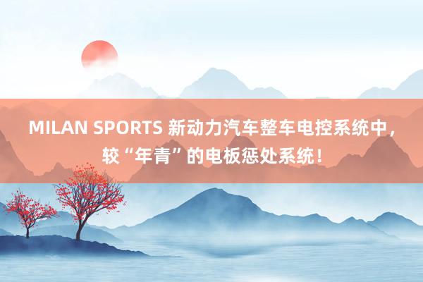 MILAN SPORTS 新动力汽车整车电控系统中，较“年青”的电板惩处系统！