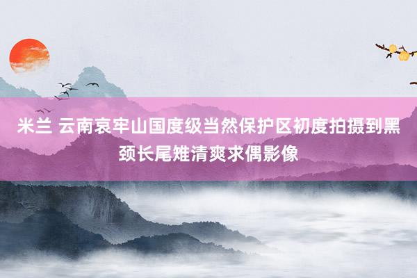 米兰 云南哀牢山国度级当然保护区初度拍摄到黑颈长尾雉清爽求偶影像