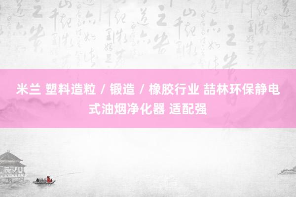 米兰 塑料造粒 / 锻造 / 橡胶行业 喆林环保静电式油烟净化器 适配强