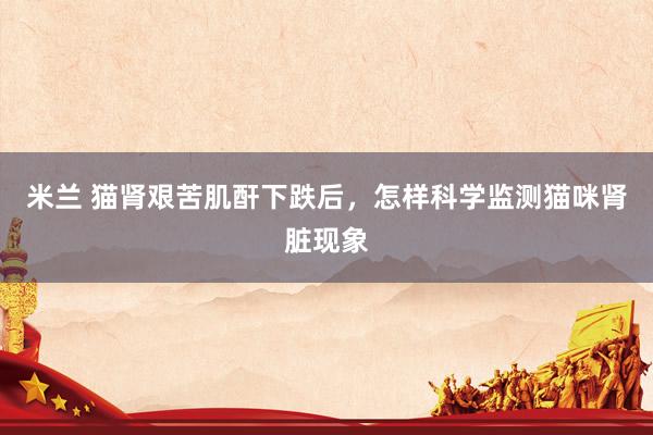 米兰 猫肾艰苦肌酐下跌后，怎样科学监测猫咪肾脏现象
