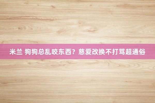 米兰 狗狗总乱咬东西？慈爱改换不打骂超通俗