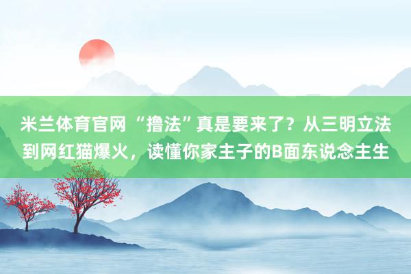 米兰体育官网 “撸法”真是要来了？从三明立法到网红猫爆火，读懂你家主子的B面东说念主生
