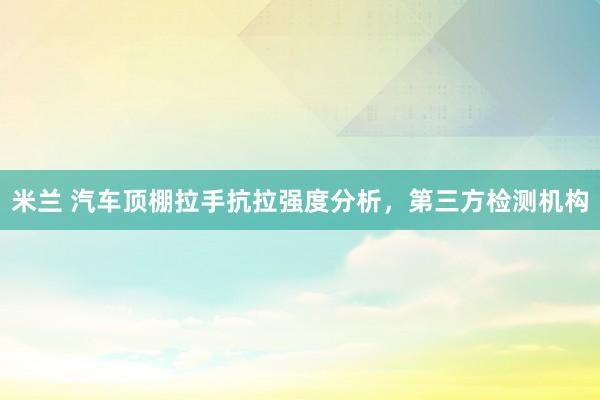 米兰 汽车顶棚拉手抗拉强度分析，第三方检测机构